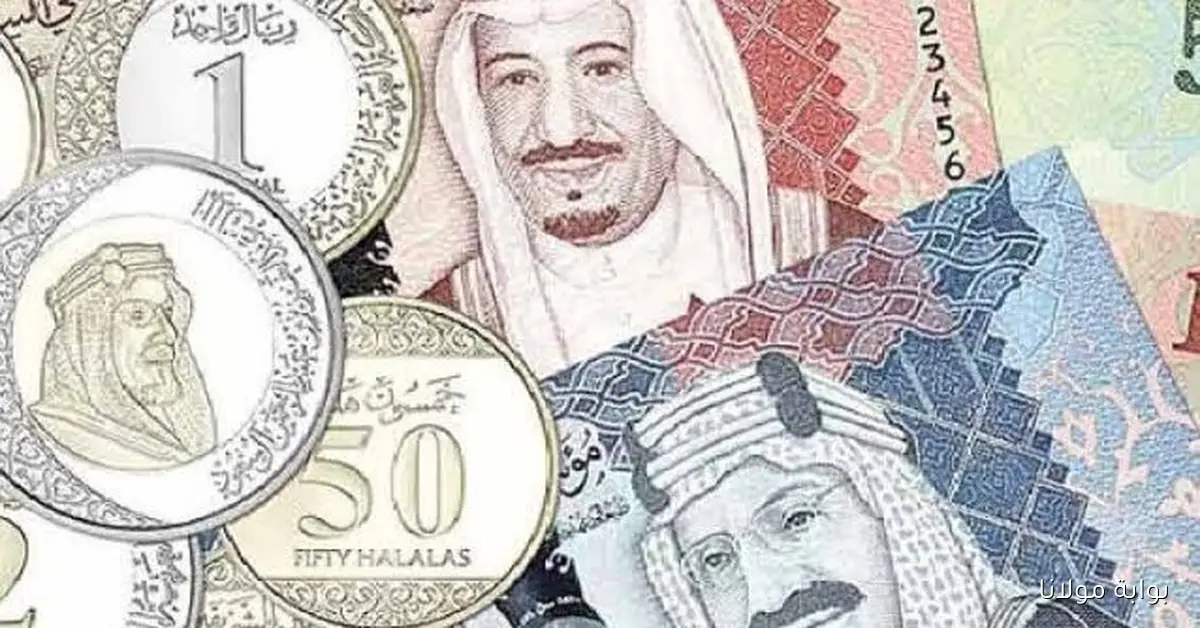 تحديث أسعار الريال السعودي ليوم السبت 20 سبتمبر 2025