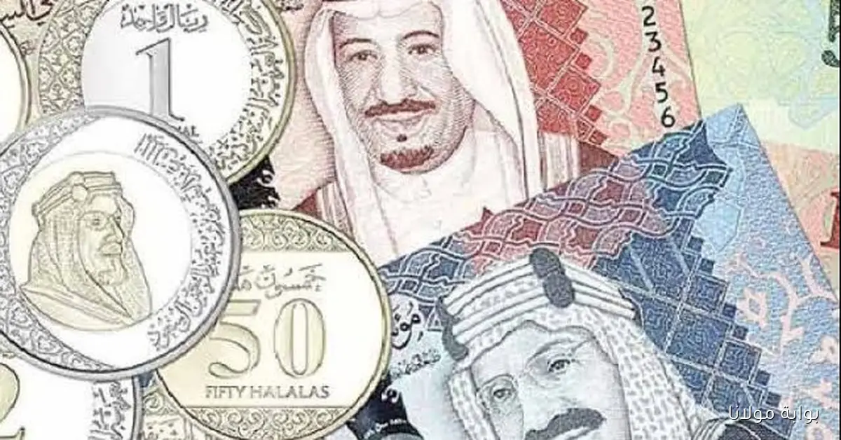 تحديث سعر الريال السعودي مقابل الجنيه المصري اليوم السبت