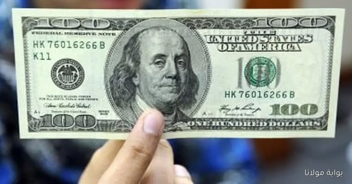 تحديث مستمر لأسعار الدولار مقابل الجنيه اليوم الجمعة 19 سبتمبر 2025