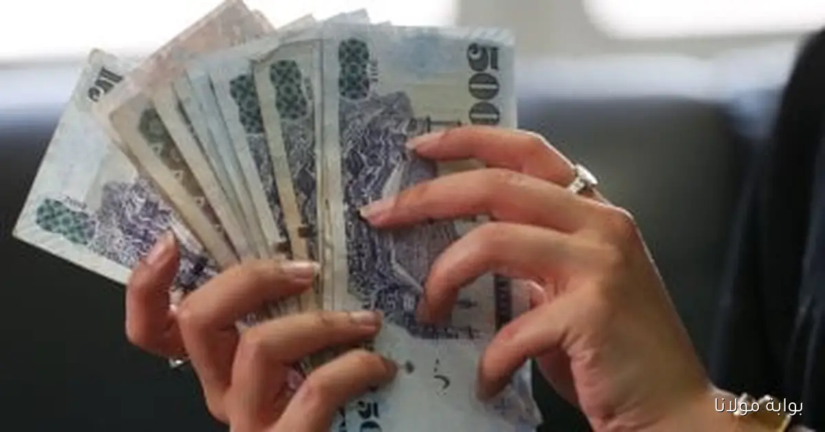 تحديثات جديدة حول سعر الريال السعودي مقابل الجنيه اليوم الثلاثاء 23 سبتمبر 2025