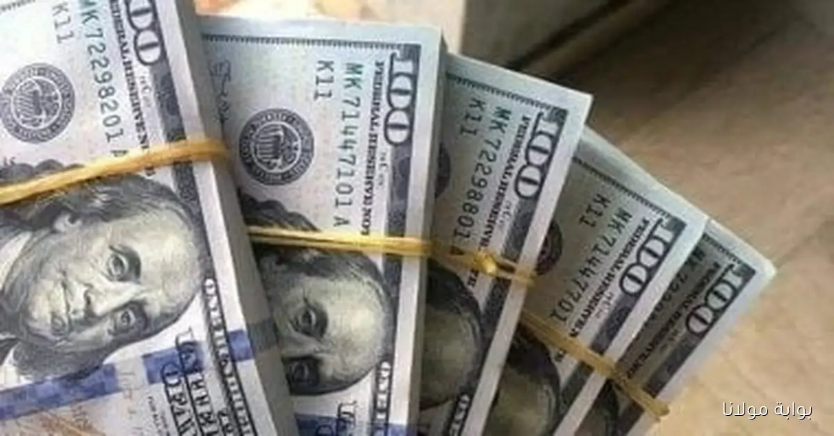 تحديثات حية لسعر الدولار مقابل الجنيه اليوم الاثنين 15 سبتمبر 2025