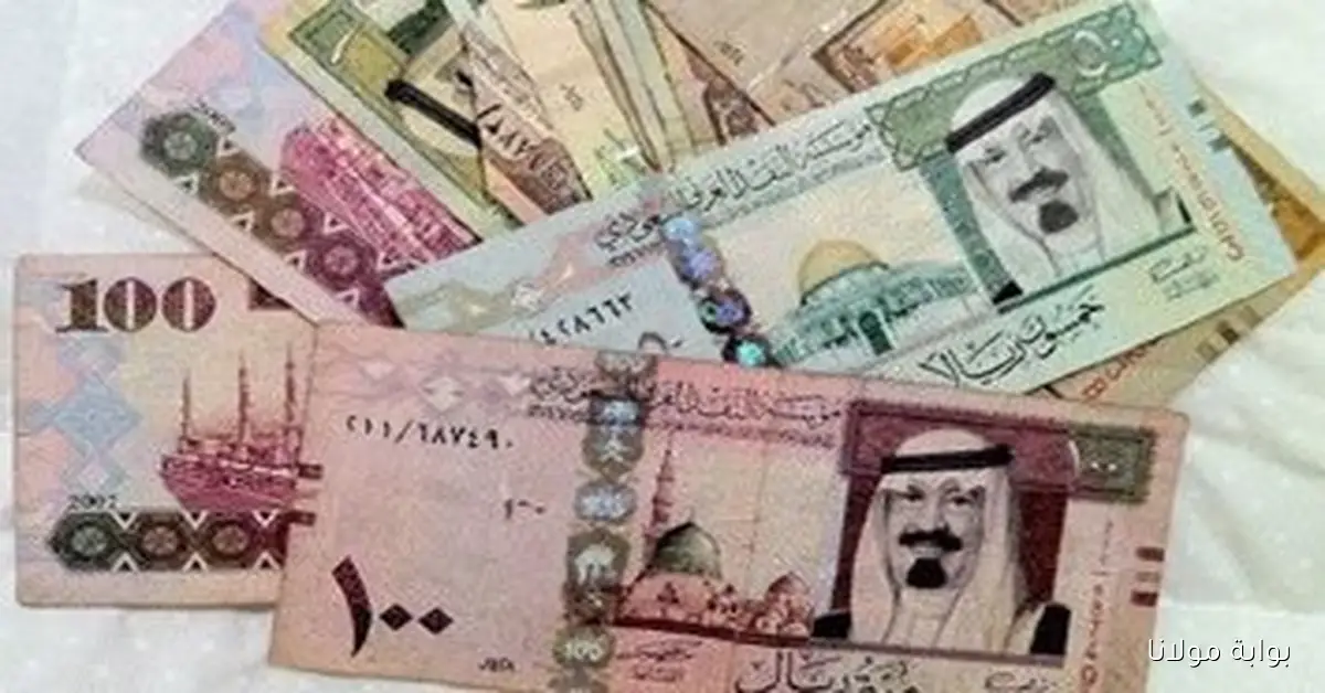 تحديثات سعر الريال السعودي مقابل الجنيه اليوم الجمعة