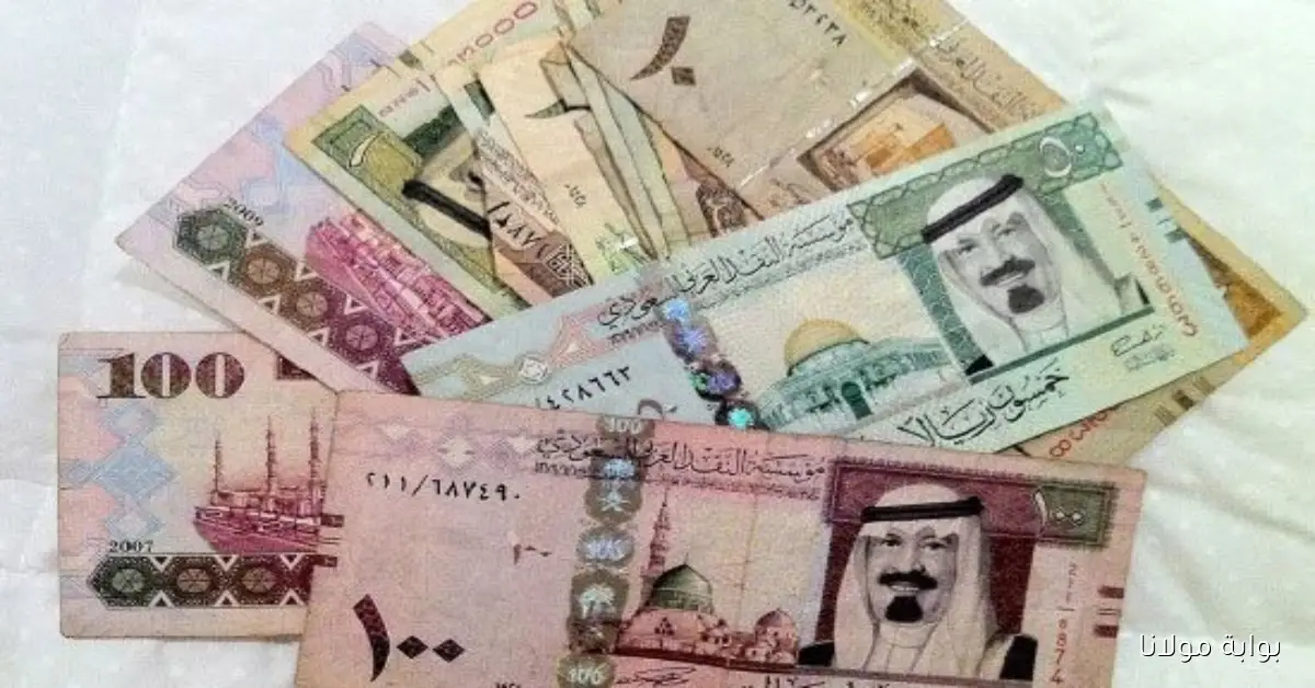 تحديثات سعر الريال السعودي مقابل الجنيه في البنوك المصرية اليوم الثلاثاء 23 سبتمبر 2025
