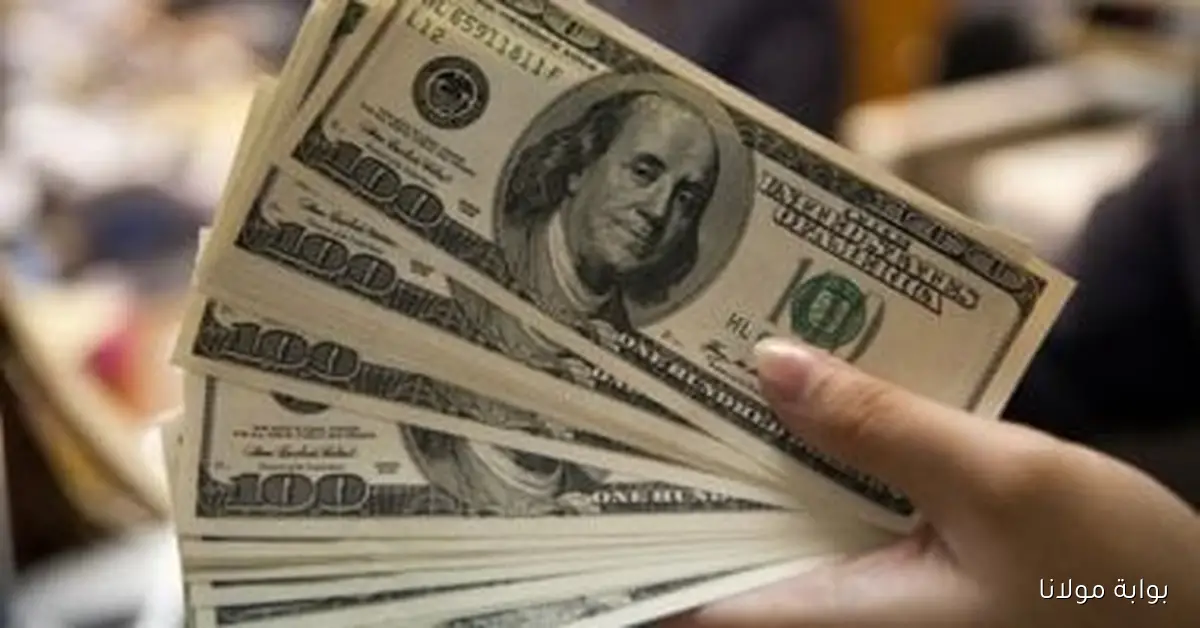 تحديثات مستمرة حول سعر الدولار اليوم السبت 27 سبتمبر 2025