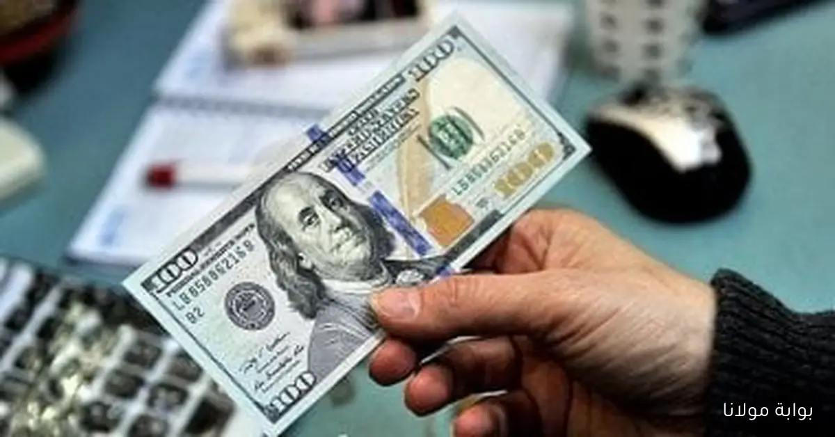 تحديثات مستمرة حول سعر الدولار مقابل الجنيه اليوم الاثنين 15 سبتمبر 2025
