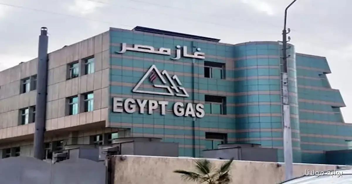 تحذير هام من “تاون جاس” حول أعمال الصيانة العاجلة في محور بن زايد