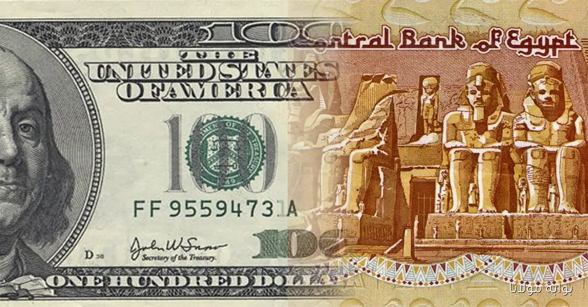 تحركات أسعار الدولار مقابل الجنيه في البنوك مستمرة