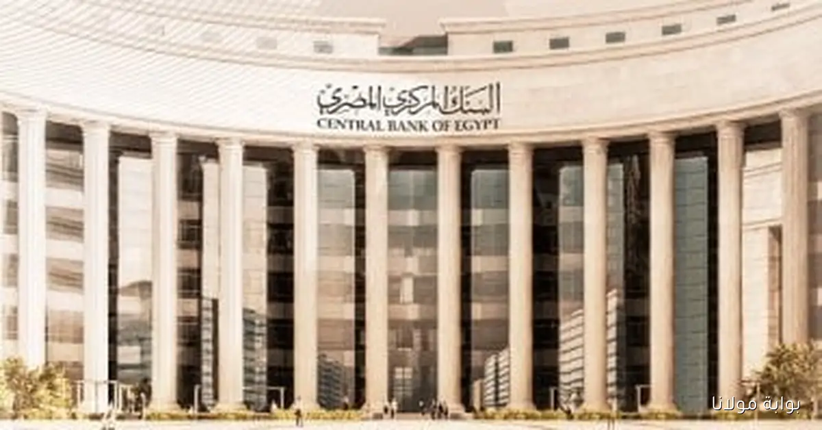 تحولات إيجابية: المصريون في الخارج يرفعون تحويلاتهم إلى 23.2 مليار دولار في 7 أشهر