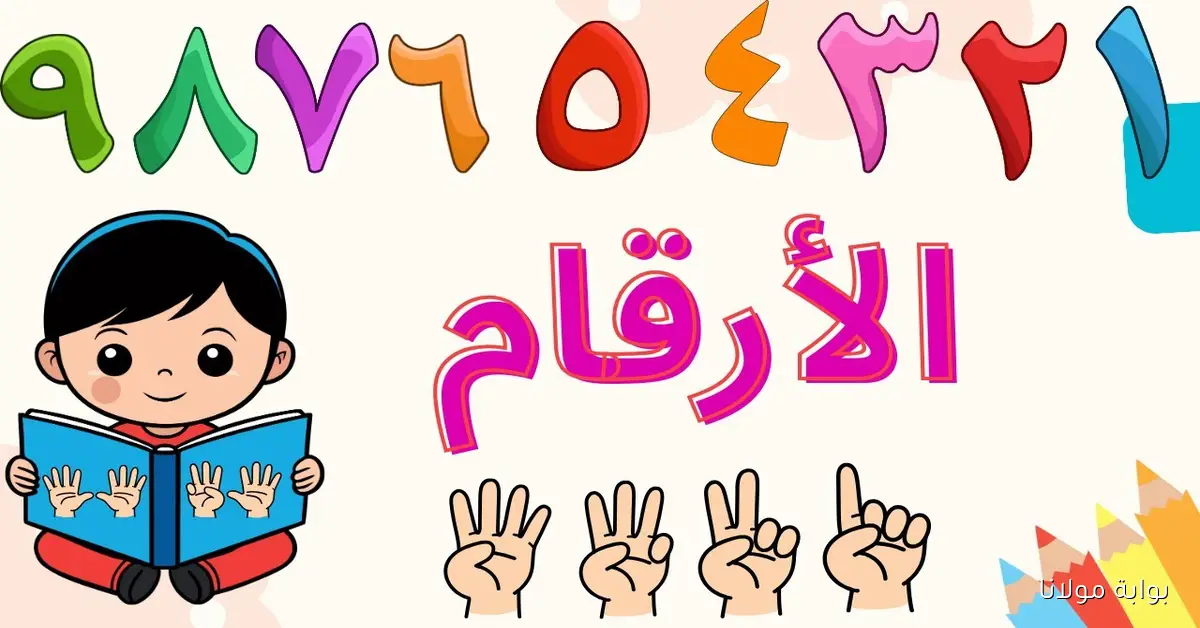 إستقبل تردد قناة طيور الجنه بيبي للأطفال آخر تحديث 2025