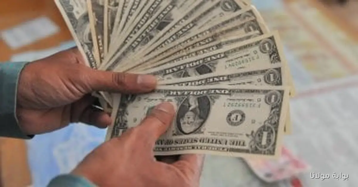 تعرّف على أحدث أسعار الدولار في مصر اليوم