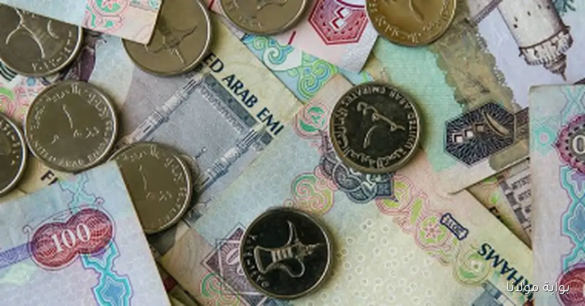 تعرّف على سعر الدرهم الإماراتي في البنوك المصرية اليوم السبت 20 سبتمبر 2025