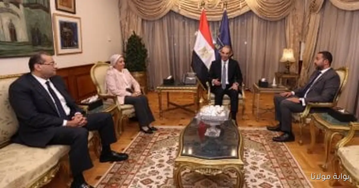 تعيين تامر المهدي رئيسًا تنفيذيًا للمصرية للاتصالات بعد محمد نصر