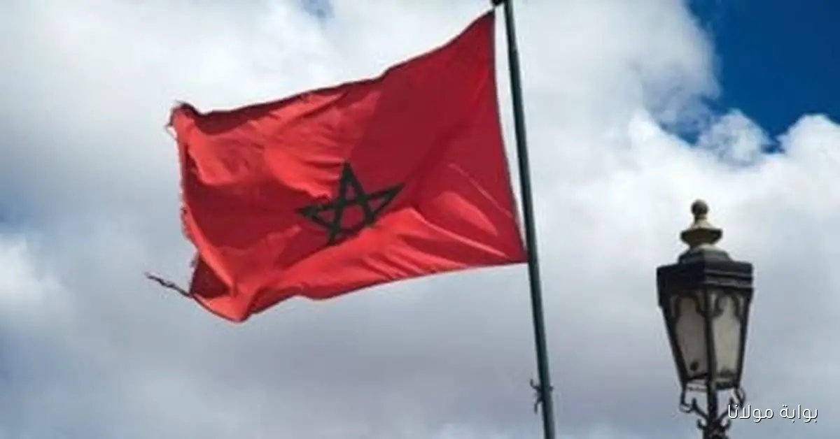تعيين خديجة بندام من المغرب رئيسة للمجلس الدولي للجمعيات النووية