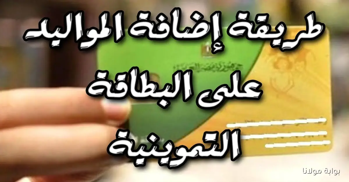 متاح الآن.. خطوات إضافة المواليد على بطاقة التموين 2025 والشروط عبر بوابة مصر الرقمية digital.gov.eg