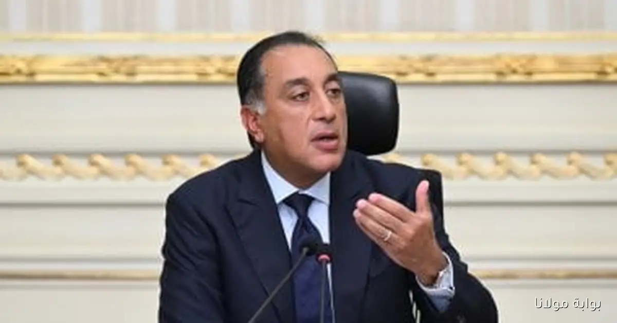 رئيس الوزراء يواصل متابعة تطورات حل التشابكات المالية بين مؤسسات الدولة وبنك الاستثمار القومي