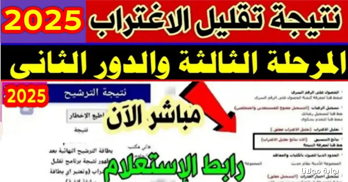 مكتب التنسيق tansik.digital.gov.eg رابط الاستعلام علي نتيجه تقليل الاغتراب 2025 المرحلة الثالثة