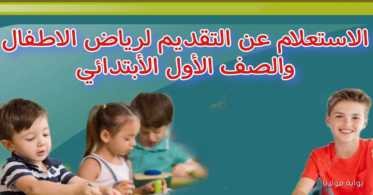 “القاهرة” رابط نتيجة تنسيق رياض الاطفال 2025-2026 المرحلة الثانية بالرقم القومي