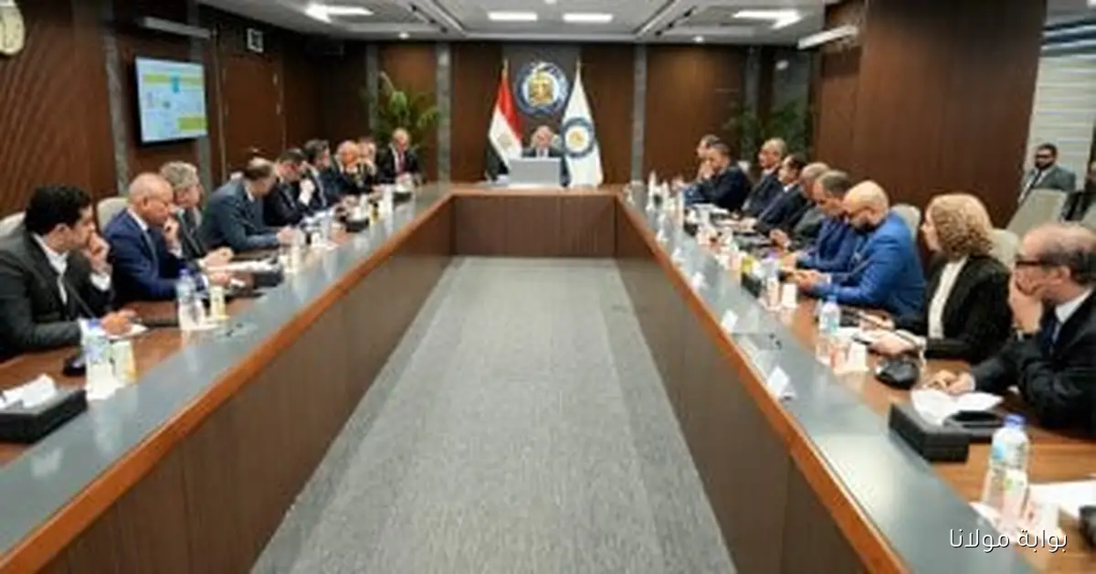 زيادة إنتاج الغاز تساهم في توفير 3.5 مليار دولار من فاتورة الاستيراد