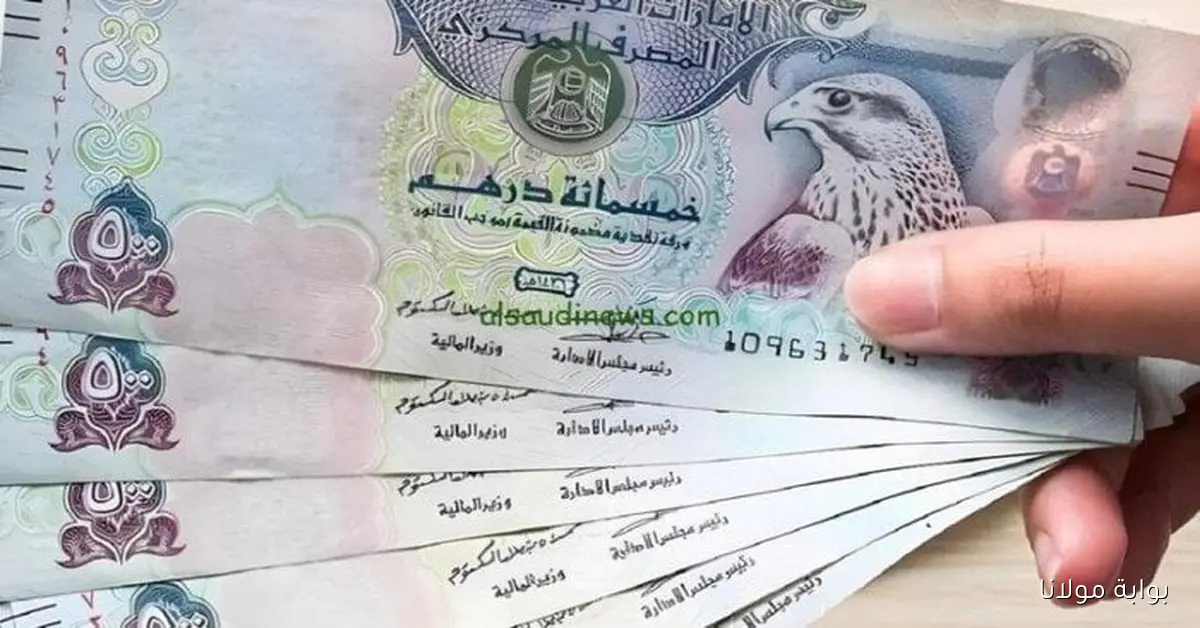 تحديث سعر الدرهم الإماراتي أمام الجنيه المصري اليوم 30 سبتمبر 2025