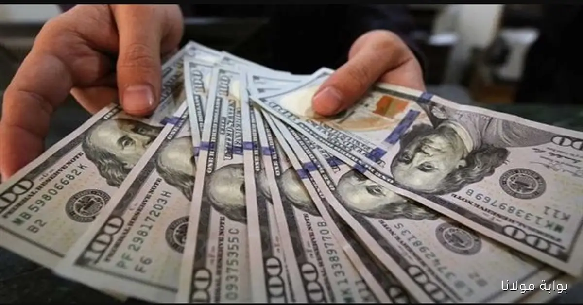 سعر 1000 دولار اليوم الاحد 14-9-2025 في السوق السوداء؟