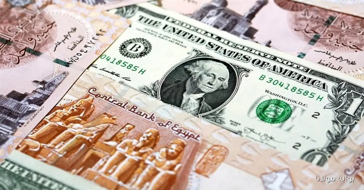 قفزة غير متوقعة .. سعر الدولار اليوم الأربعاء 2025/9/17 في السوق السوداء والبنوك المصرية