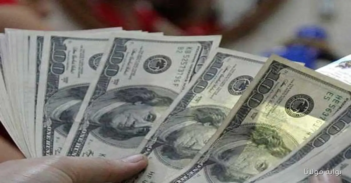 سبتمبر سعر الدولار اليوم في السوق السوداء الخميس  في مستهل تعاملات البنوك والسوق المصرفية