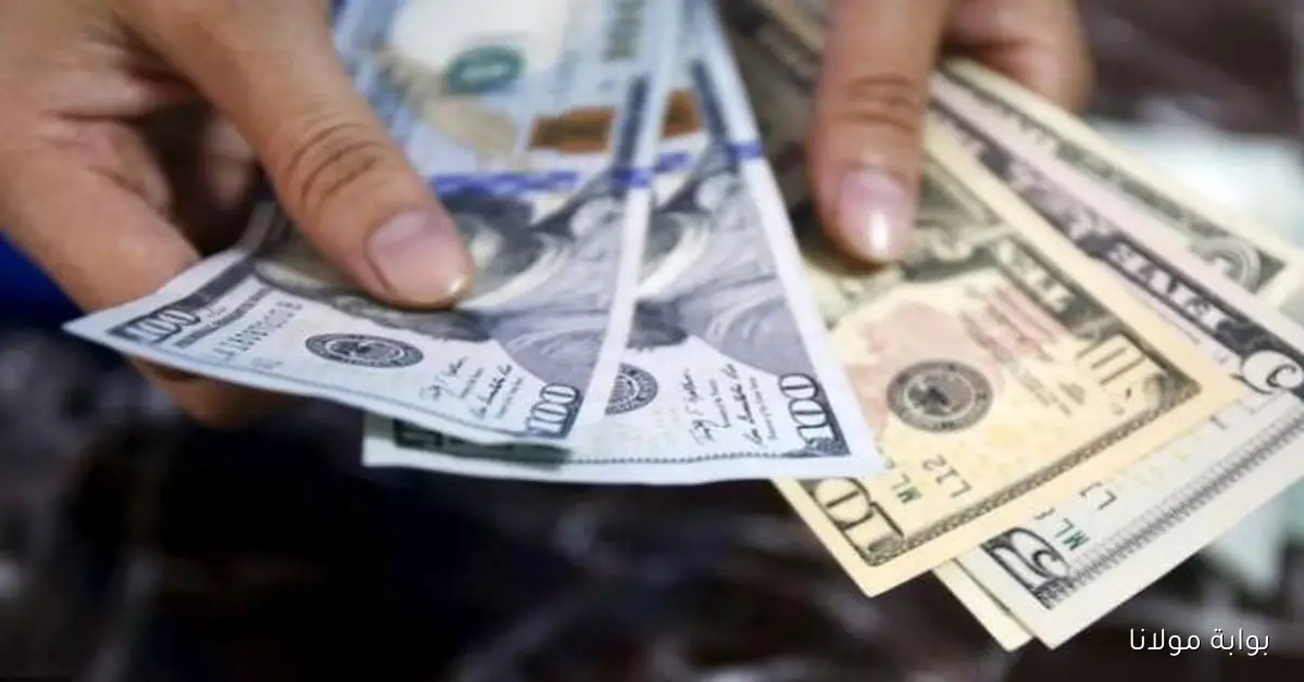 بكام دلوقتى؟.. سعر الدولار اليوم في مصر الثلاثاء 30 سبتمبر 2025 مقابل الجنيه المصري