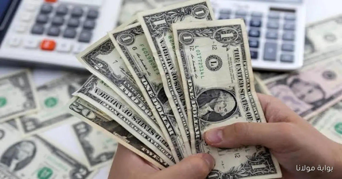 الأخضر وصل لكام؟؟ سعر الدولار اليوم الاثنين 2025/9/15 في السوق السوداء والبنوك المصرية