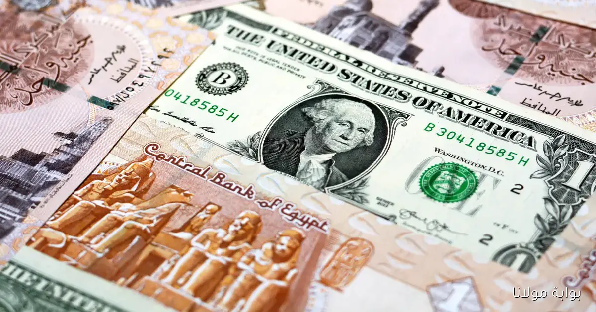هدوء الأخضر .. سعر الدولار في السوق السوداء اليوم الاحد 2025/9/14 والبنوك المصرية
