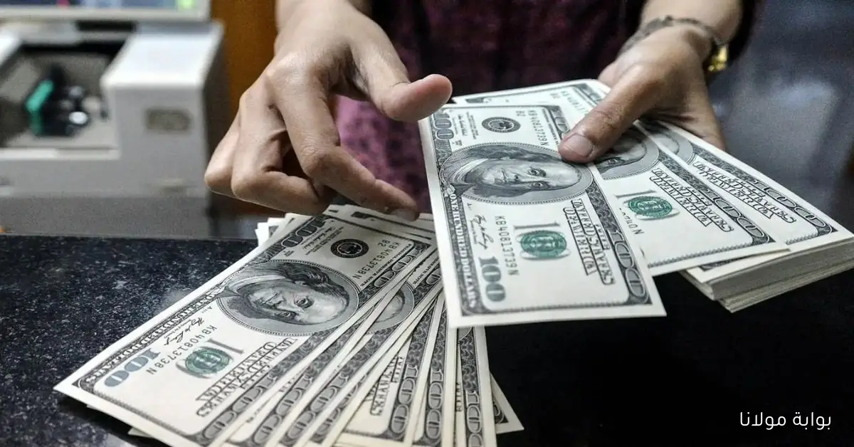 شقد هلا؟ سعر الدولار في العراق اليوم 26 سبتمبر 2025 كم يساوي 100 دولار في البنوك والسوق السوداء؟