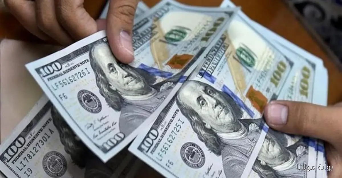 سعر الدولار في مصر يشهد تراجعًا ملحوظًا اليوم