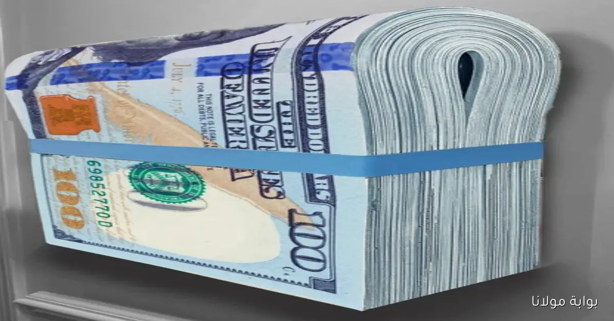 بكام 100 دولار في السوق السوداء الآن في مصر 17 سبتمبر 2025 سعر الدولار مصر