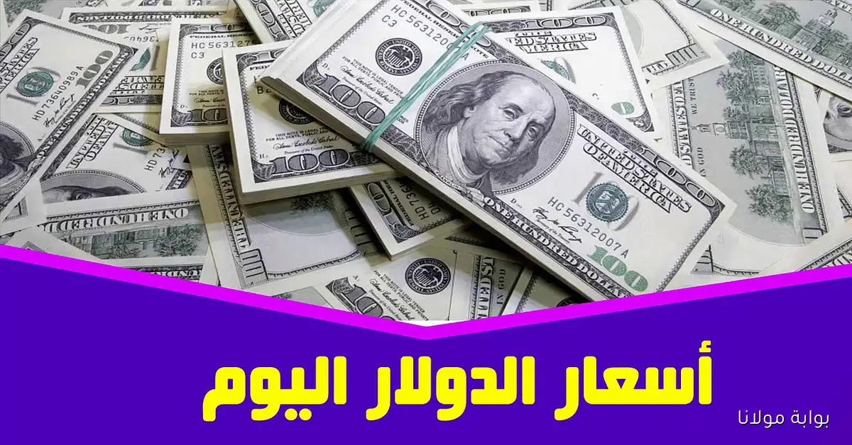سعر الدولار مقابل الجنيه المصري اليوم 20 سبتمبر 2025 السوق السوداء والبنوك