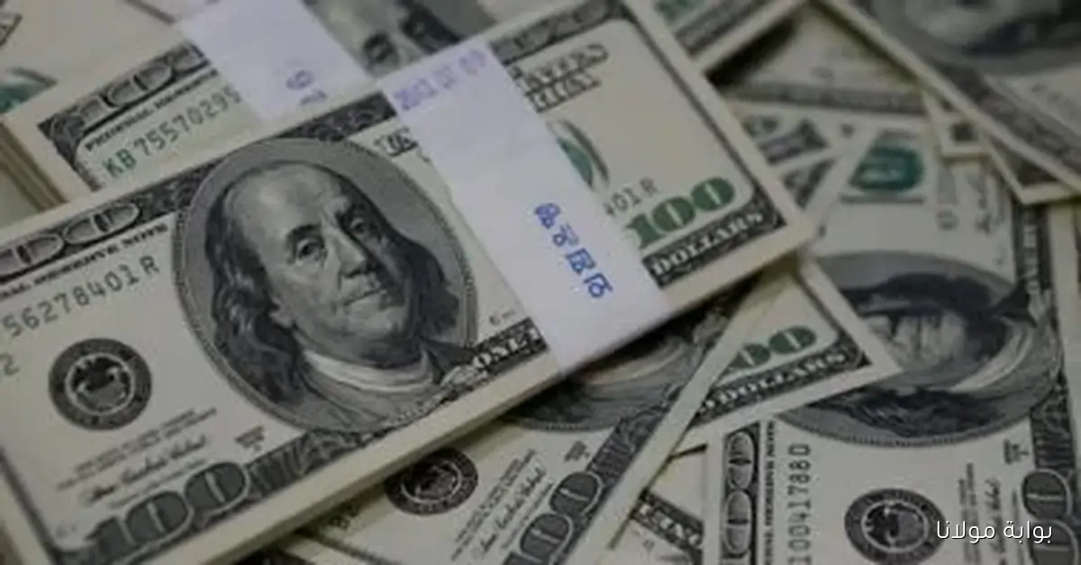 سعر الدولار مقابل الجنيه المصري اليوم الثلاثاء 30 سبتمبر 2025 تحديثات حية