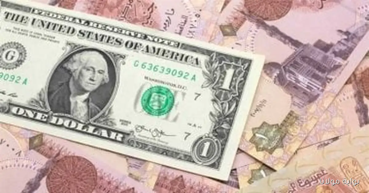 سعر الدولار مقابل الجنيه اليوم الإثنين في منتصف التعاملات يصل إلى 48.18 جنيه للشراء