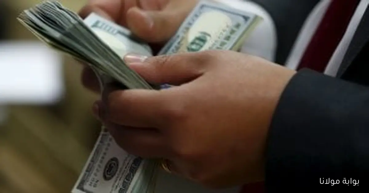 سعر الدولار مقابل الجنيه في البنك المركزي المصري اليوم