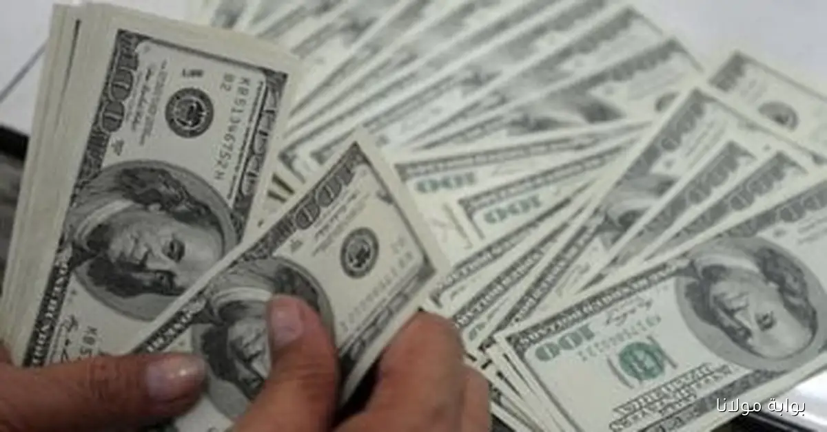 سعر الدولار مقابل الجنيه في البنك المركزي المصري وكيف يؤثر على السوق