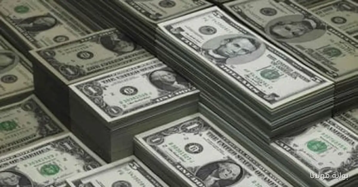 سعر الدولار يواصل الارتفاع اليوم الأربعاء 24 سبتمبر 2025 ليصل إلى 48.25 جنيه للشراء