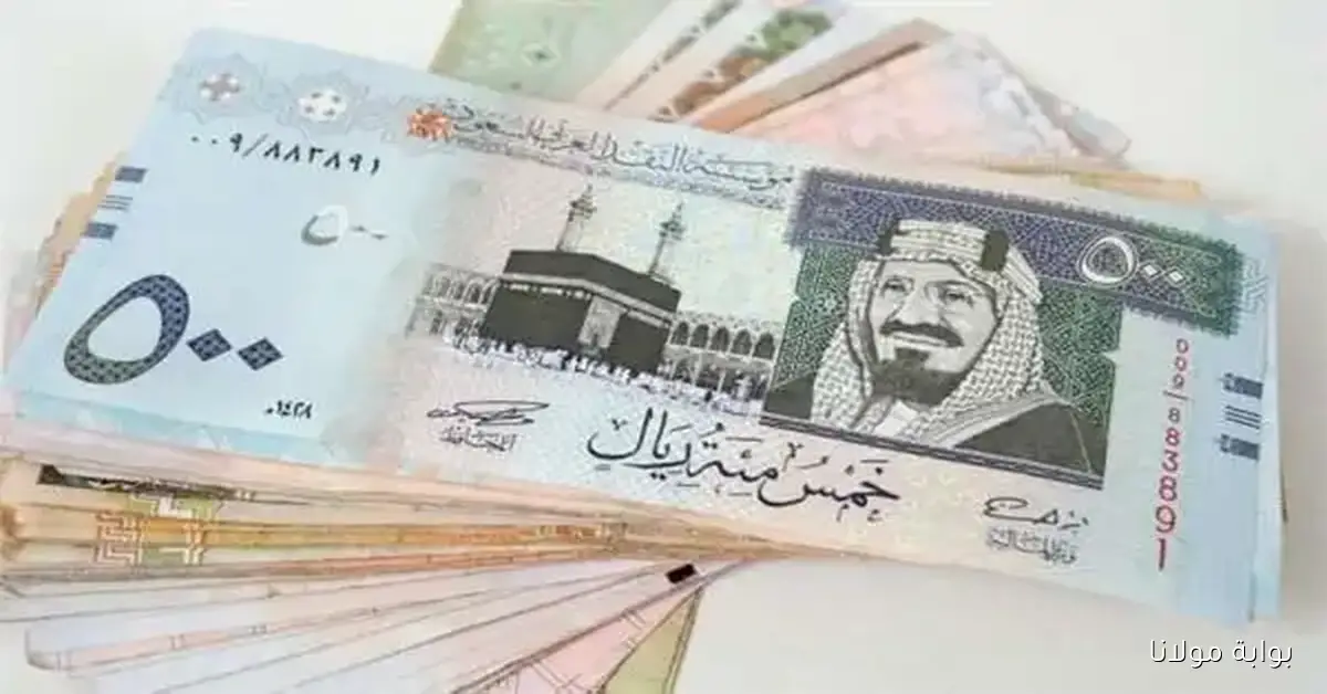 مفاجأة سعر الريال السعودي في تعاملات اليوم 24 سبتمبر 2025 مقابل الجنيه المصري