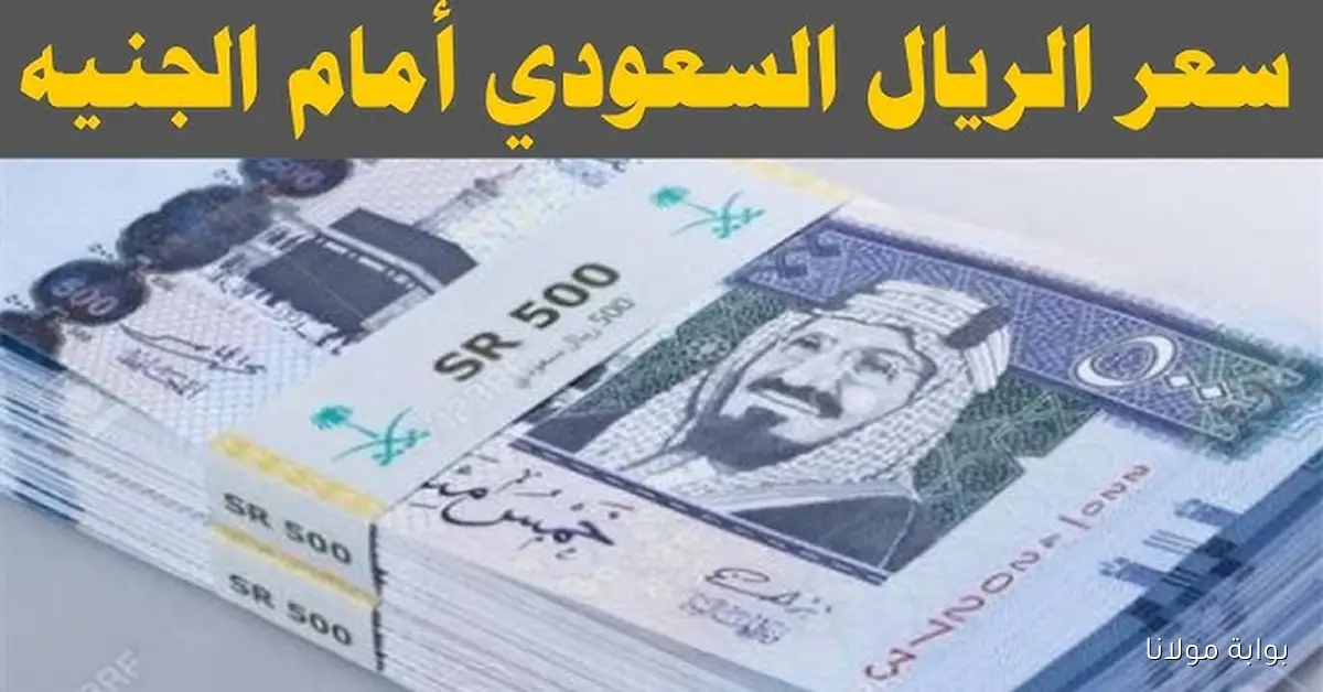 رسمياً .. سعر الريال السعودي مقابل الجنيه المصري اليوم الثلاثاء 16 سبتمبر 2025 في السوق السوداء والبنوك