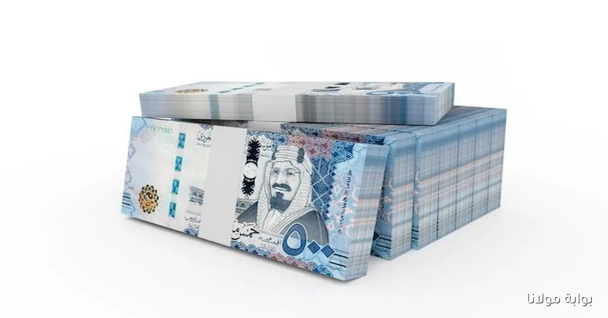 تغيرات مفاجئة في سعر الريال السعودي مقابل الجنيه المصري اليوم الجمعة في البنك والسوق السوداء لحظة بلحظة