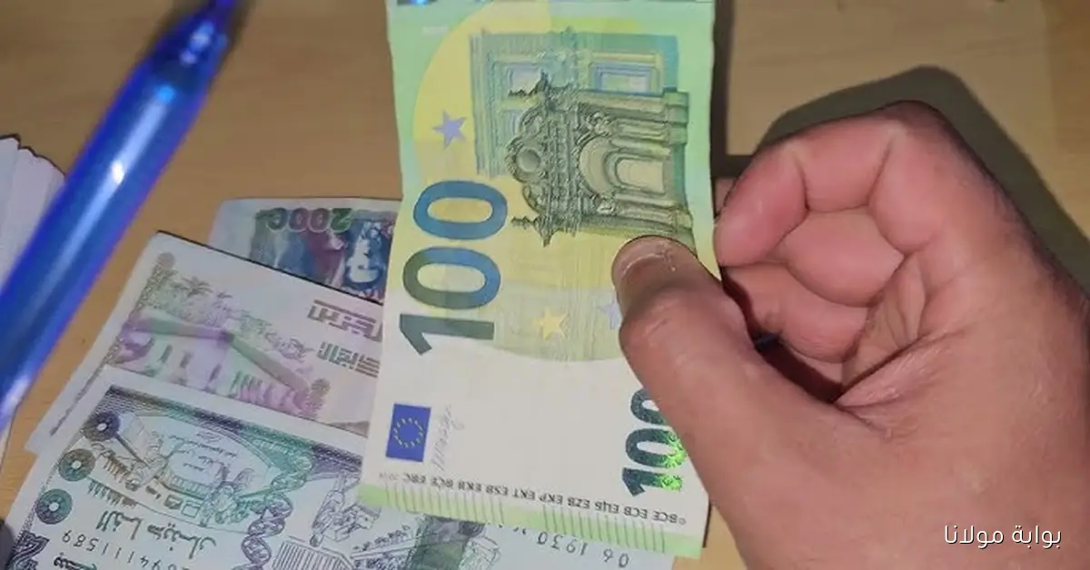 الأورو كم يساوى؟.. سعر اليورو في السوق السوداء الجزائر اليوم 2025 الأربعاء 24 سبتمبر