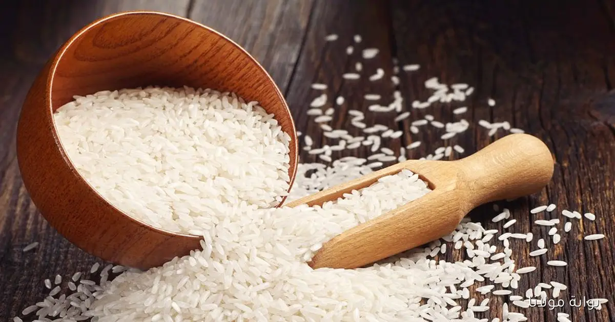 الطن وصل لكام؟؟ سعر طن الأرز الشعير اليوم الاحد 2025/9/14 في الأسواق المحلية