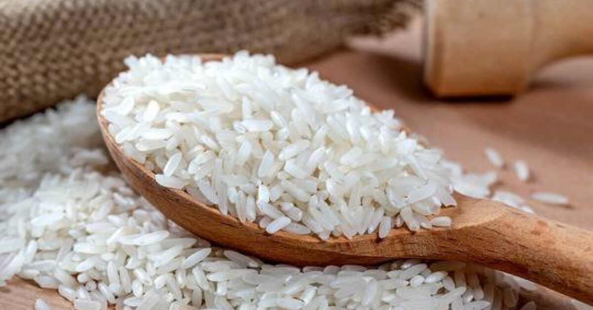 سعر طن الأرز الشعير اليوم الثلاثاء 16 سبتمبر 2025 في الأسواق المصرية
