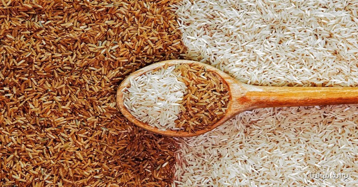 سعر طن الأرز اليوم يصل إلى 27 جنيهًا في الأسواق المحلية