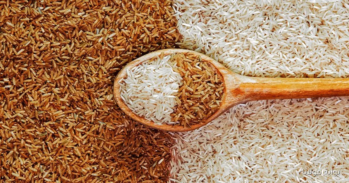 الطن عامل كام؟؟ سعر طن الارز الشعير اليوم الثلاثاء 2025/9/15 في الأسواق المصرية