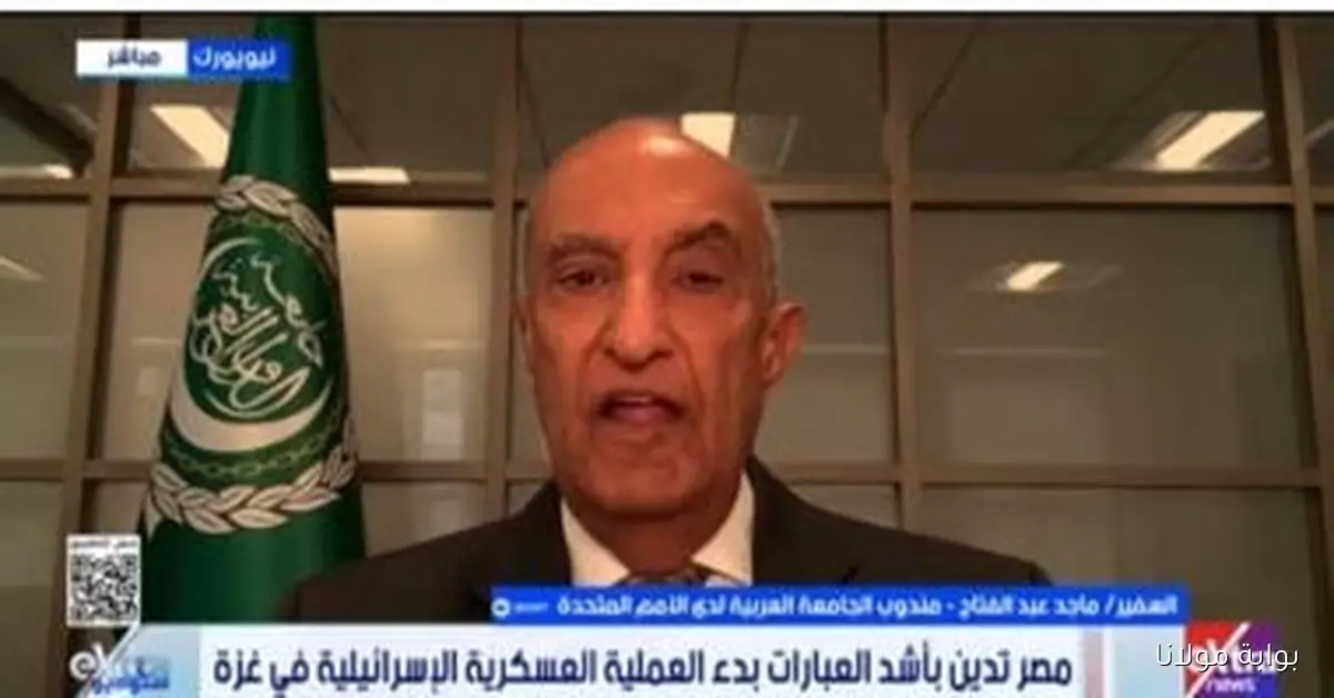 سفير ماجد عبد الفتاح: إسرائيل تحاول عرقلة مؤتمر الأمم المتحدة المخصص لحل الدولتين