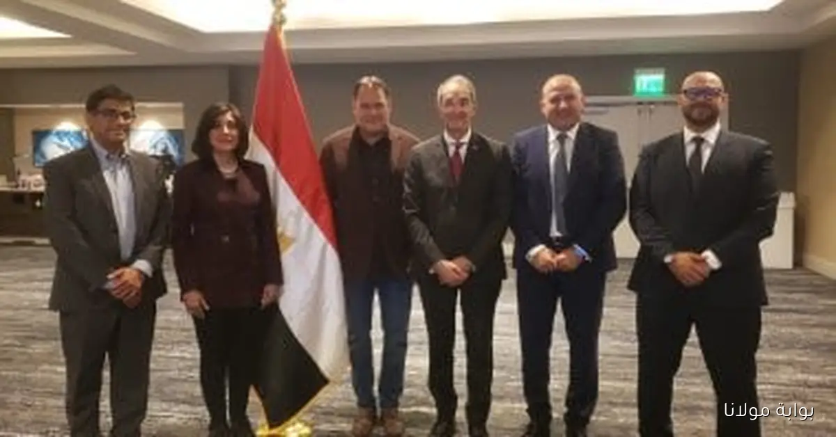 شركات أمريكية تبرز مهارات الكوادر المصرية في مجال الاتصالات