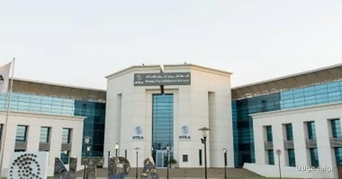 شركات الاتصالات تتجه نحو تفعيل التحقق الإلكتروني والتوقيع الرقمي قبل انتهاء العام