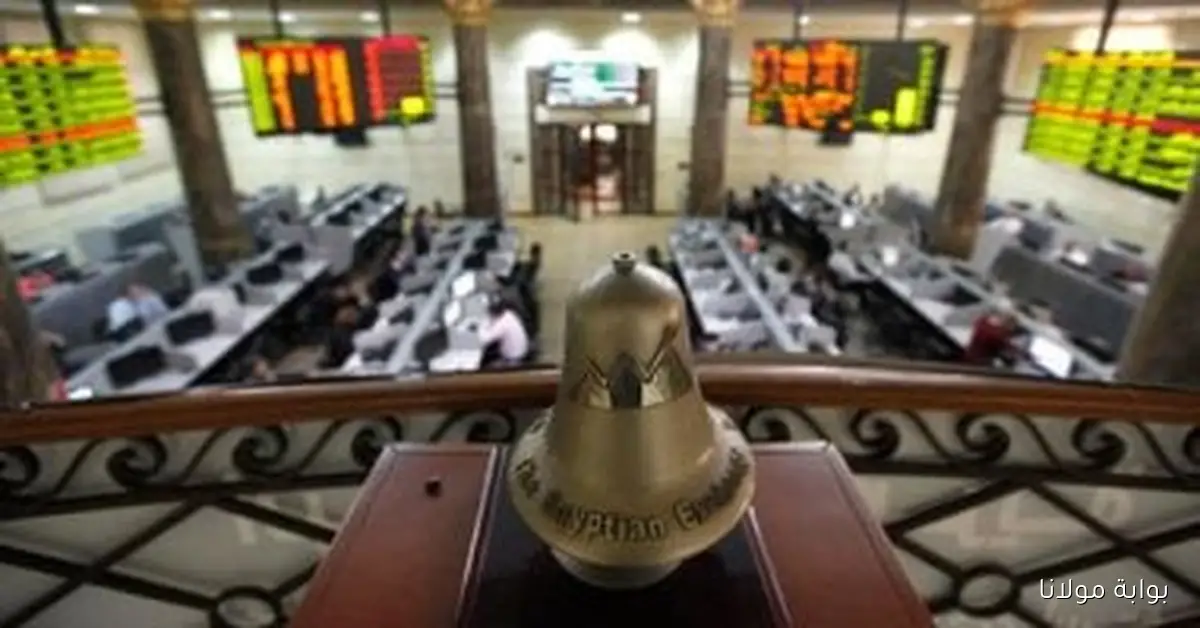 شركات البورصة تواجه أزمة حادة مع بيع الأصول وخسائر تهدد استثماراتها